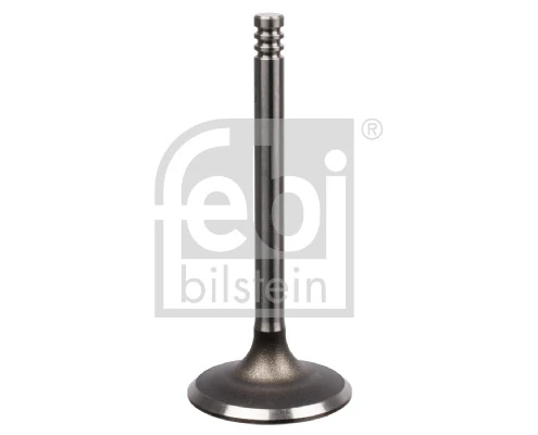 Intake Valve